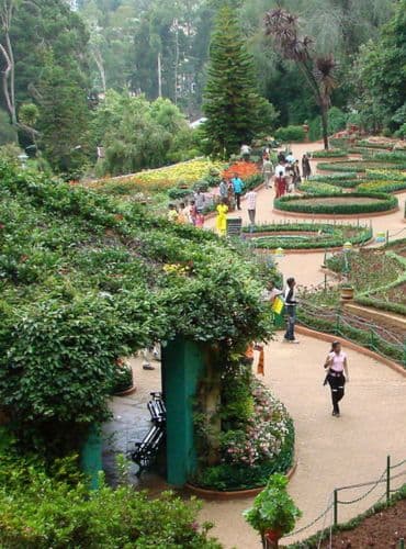 Tirupati Balaji Darshan Package from Mysore