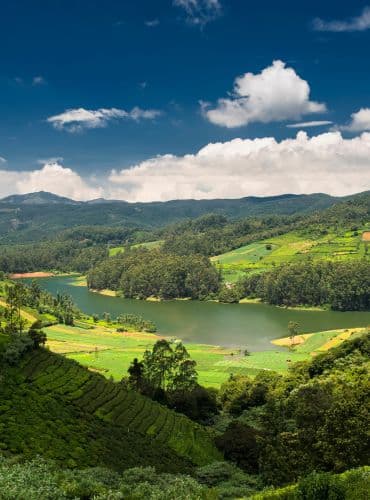 5 Days Mysore-Ooty-Coorg Complete Tour