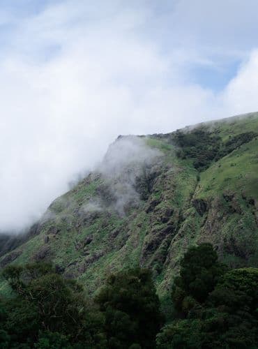 2 Days Wayanad Tour from Mysore