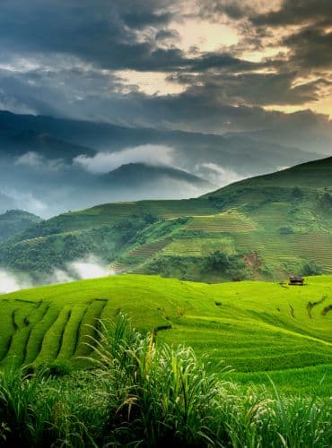 2 Days Coorg Tour Package